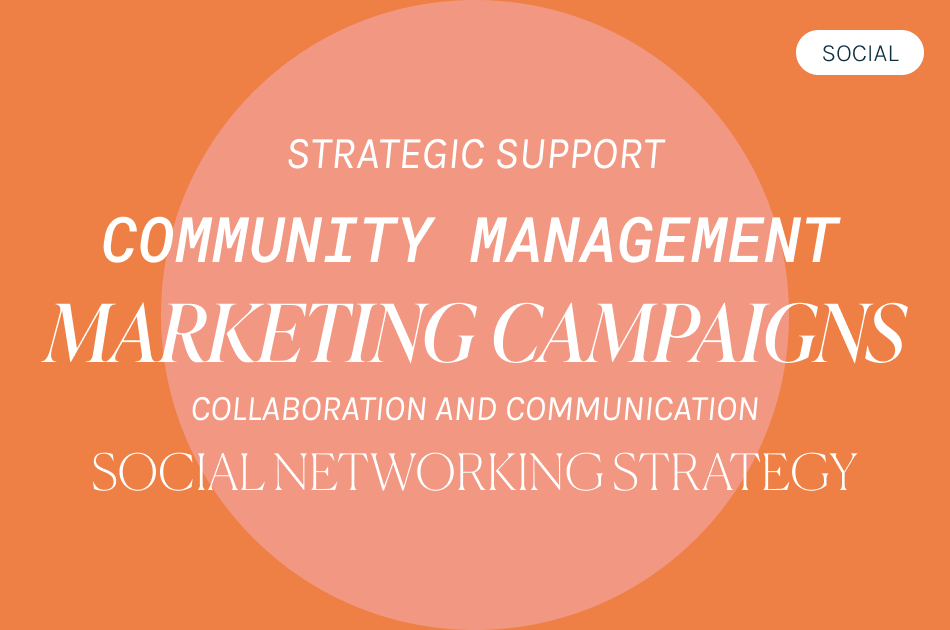 seo-sem-social-media-strategy-support