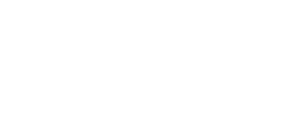 Logo Qwelli blanc